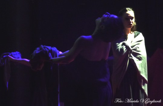 Granos de uva en el paladar5