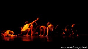 Festival Constante71